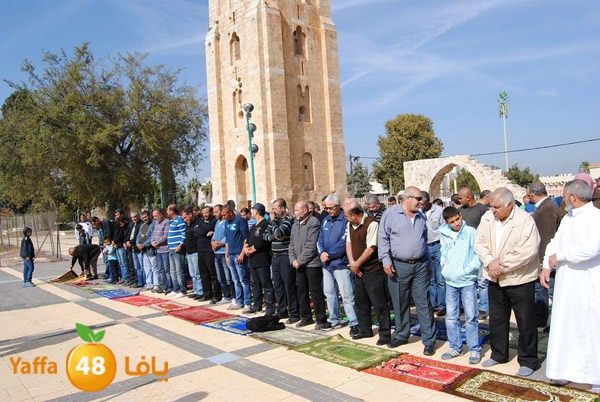 istesqa2 ramla 0201 (21).JPG